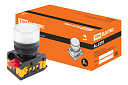 Лампа AL-22TE сигнальная d22мм белый неон/230В цилиндр TDM-Сигнальные лампы - купить по низкой цене в интернет-магазине, характеристики, отзывы | АВС-электро