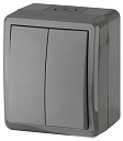 Выключатель 2кл О/У IP54 серый Эра Эксперт-Выключатели, переключатели - купить по низкой цене в интернет-магазине, характеристики, отзывы | АВС-электро